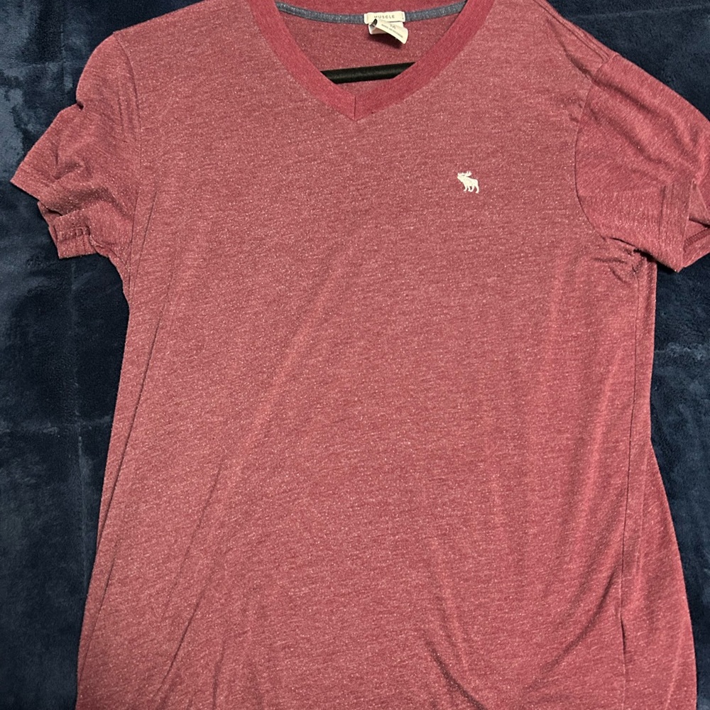 Abercrombie and Fitch T-Shirt